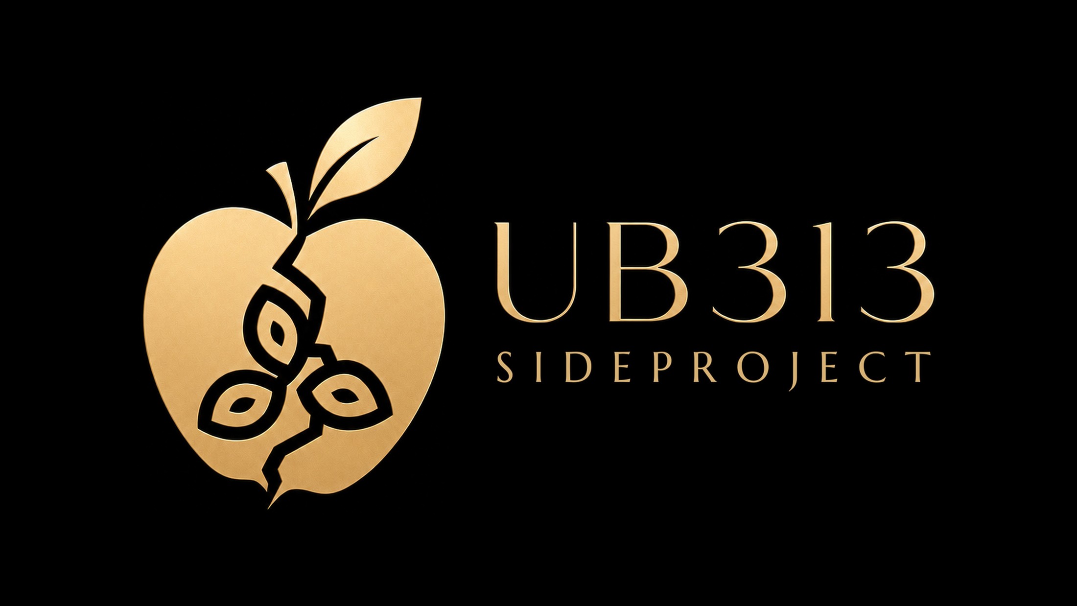 UB313 sideproject